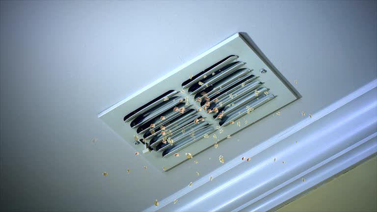 Best Ductwork Cleaning Services  in Chester Center, CT