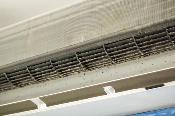 Best Air Duct Sanitizing Services  in Chester Center, CT